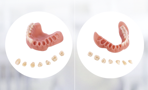 Ill. 6 : Les dents prothétiques modifiées par FAO ont une grande précision d'ajustement avec les alvéoles de la base.